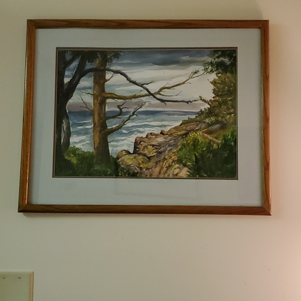 Oregon Coast Framed Picture